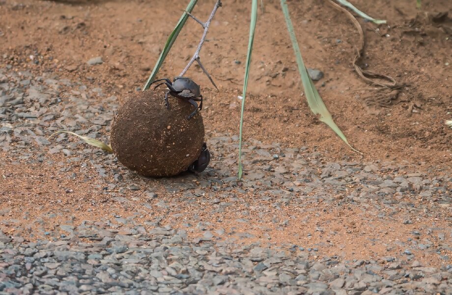 P1240097-Bearbeitet.jpg P1240097-Bearbeitet.jpg