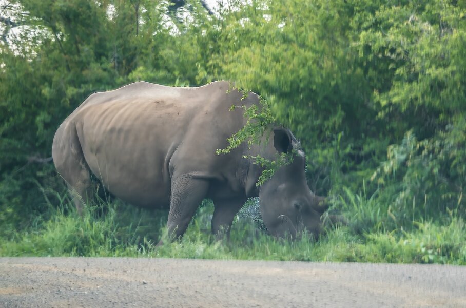 P1240115-Bearbeitet.jpg P1240115-Bearbeitet.jpg