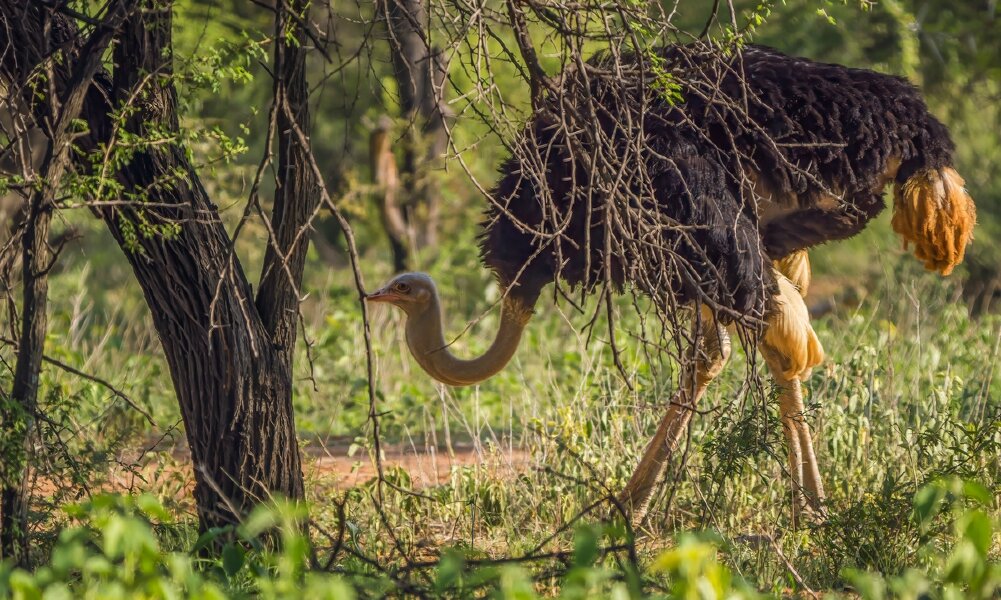 P1240151-Bearbeitet.jpg P1240151-Bearbeitet.jpg