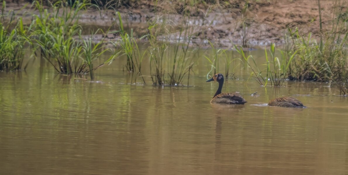 P1250236-Bearbeitet.jpg P1250236-Bearbeitet.jpg