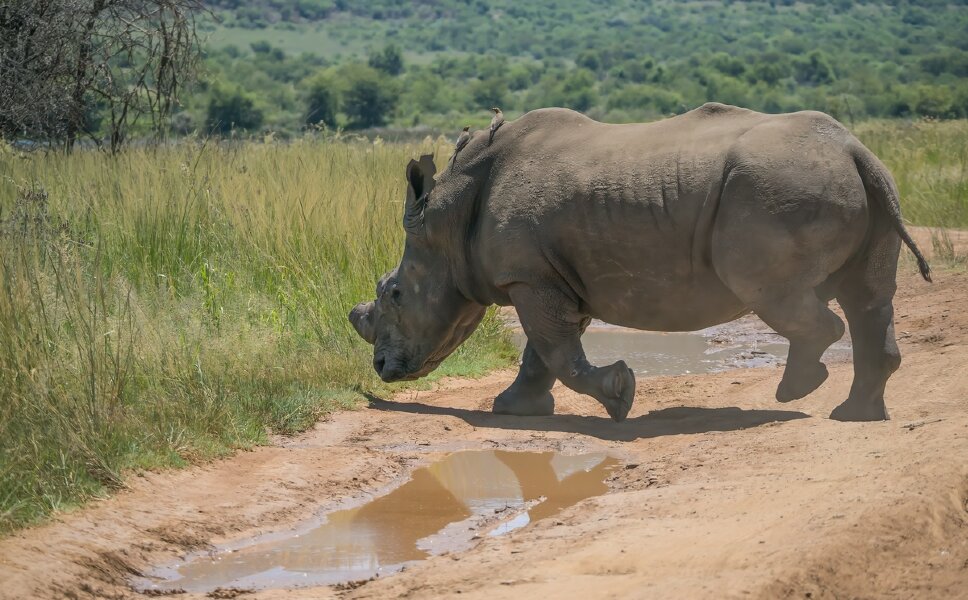 P1250261-Bearbeitet.jpg P1250261-Bearbeitet.jpg