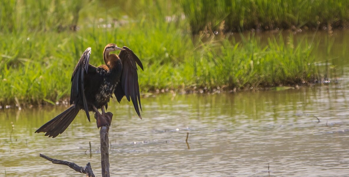 P1250307-Bearbeitet.jpg P1250307-Bearbeitet.jpg