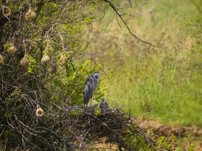 P1250416-Bearbeitet.jpg P1250416-Bearbeitet.jpg