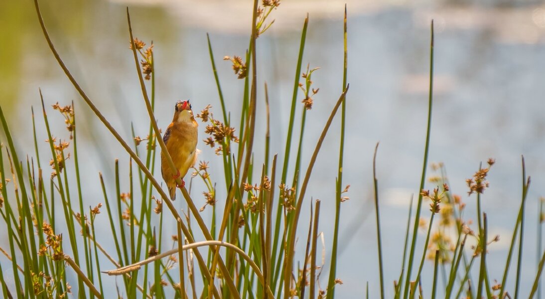 P1250417-Bearbeitet.jpg P1250417-Bearbeitet.jpg
