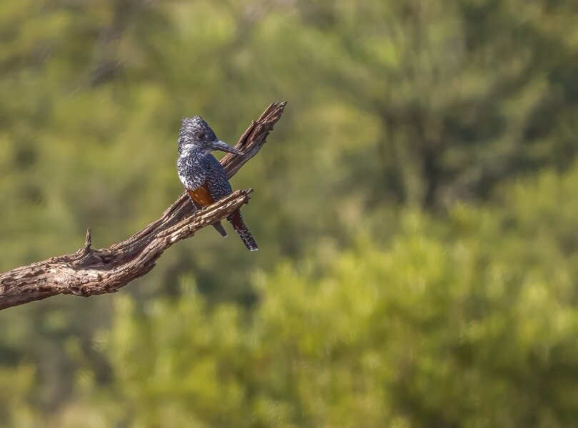 P1250600-Bearbeitet.jpg P1250600-Bearbeitet.jpg