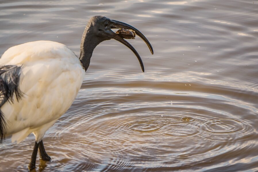P1250659-Bearbeitet.jpg P1250659-Bearbeitet.jpg