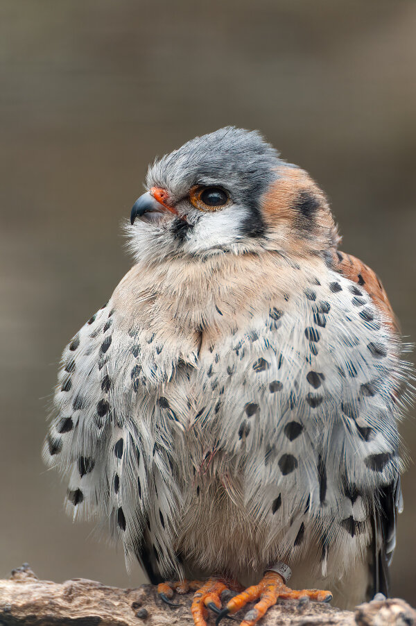 1304_Berlin April 2013_086_DxO-Bearbeitet.jpg