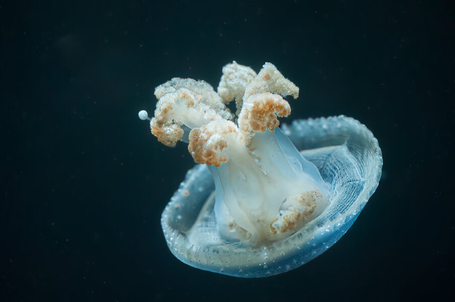 1304_Berlin April 2013_321-Bearbeitet-Bearbeitet.jpg