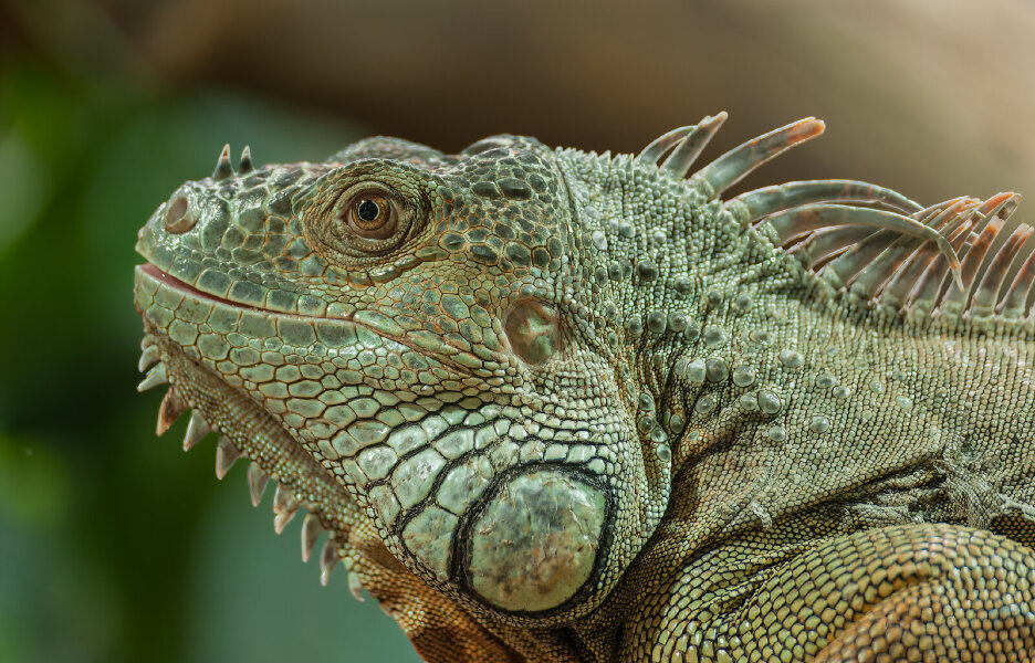 1304_Berlin April 2013_353_DxO-Bearbeitet.jpg