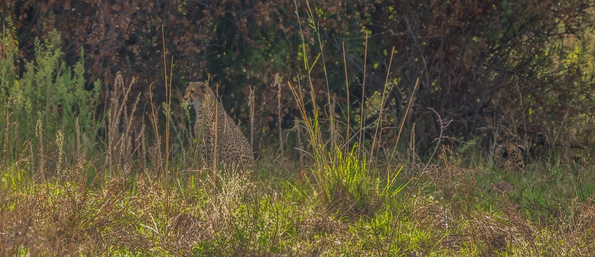 P1250848-Bearbeitet.jpg P1250848-Bearbeitet.jpg