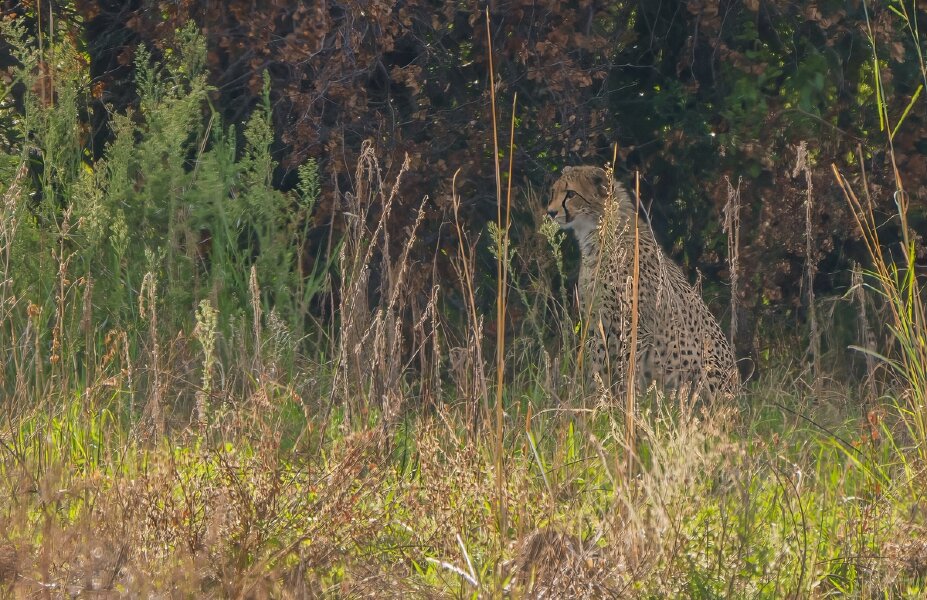 P1250850-Bearbeitet.jpg P1250850-Bearbeitet.jpg