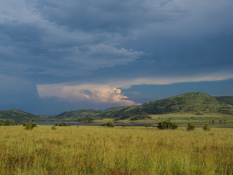 P1250887-Bearbeitet.jpg P1250887-Bearbeitet.jpg