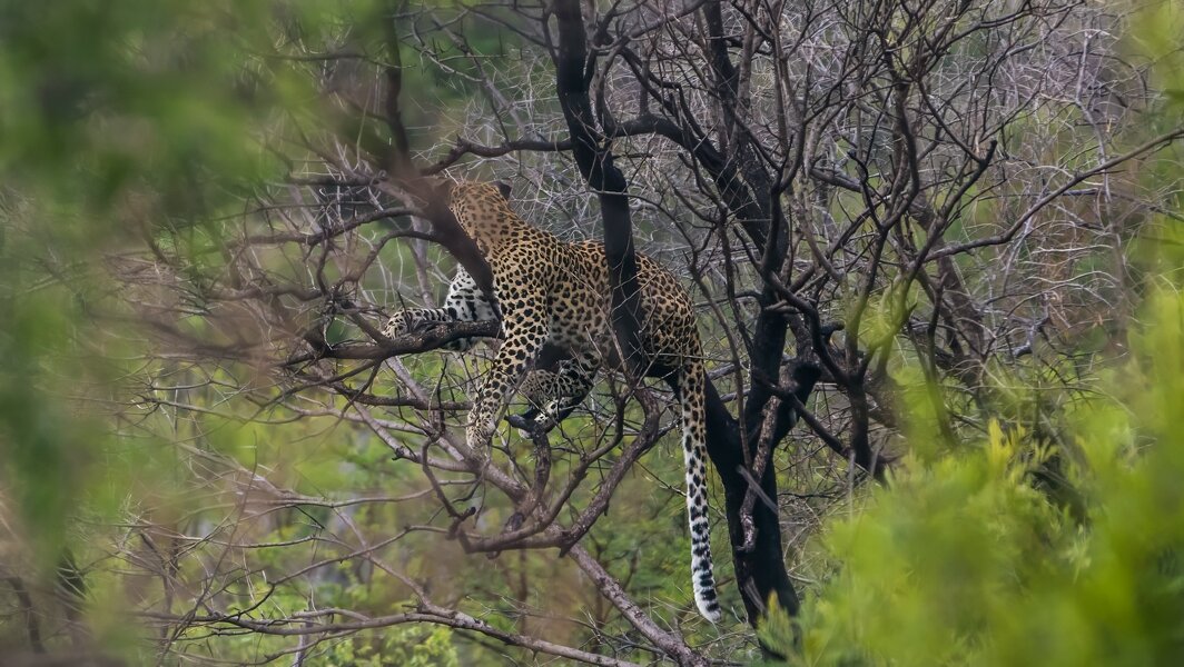 P1250928-Bearbeitet.jpg P1250928-Bearbeitet.jpg