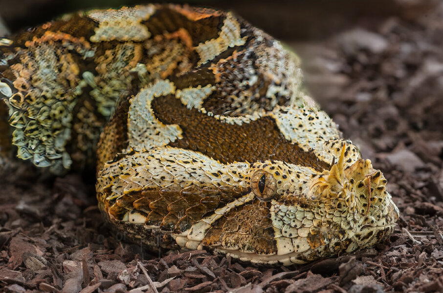 Terrazoo 10.02.09_0008_DxO-Bearbeitet-2-Bearbeitet.jpg