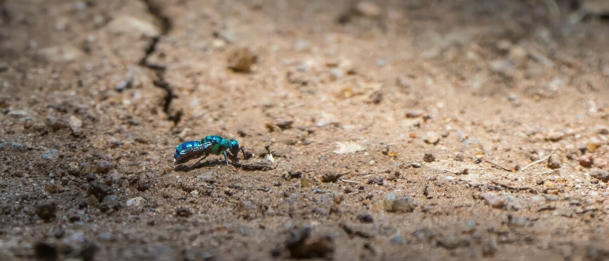 P1261021-Bearbeitet.jpg P1261021-Bearbeitet.jpg