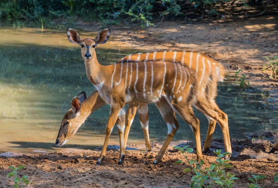 P1261285-Bearbeitet.jpg P1261285-Bearbeitet.jpg