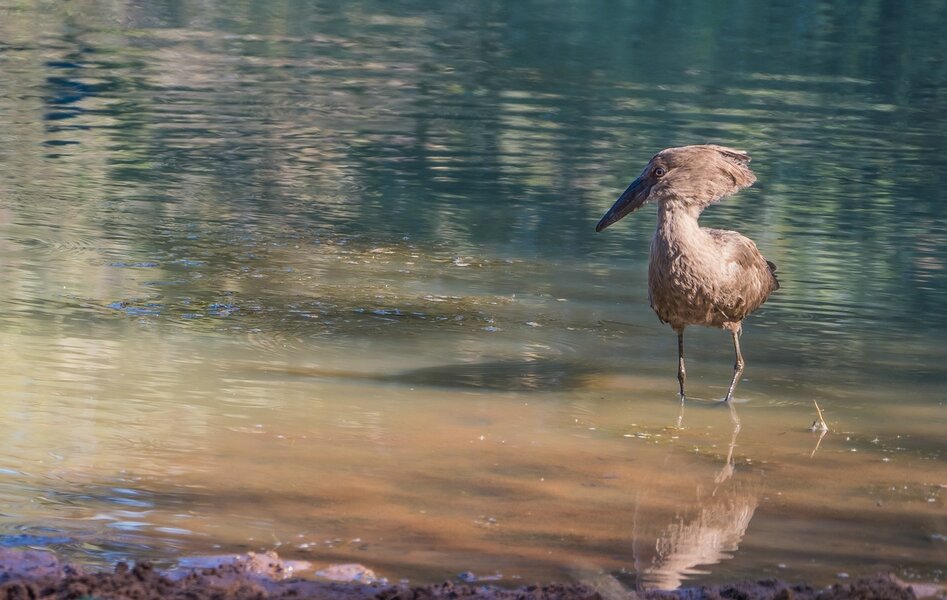 P1261402-Bearbeitet.jpg P1261402-Bearbeitet.jpg