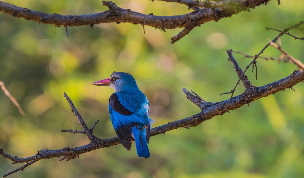 P1261315-Bearbeitet.jpg P1261315-Bearbeitet.jpg