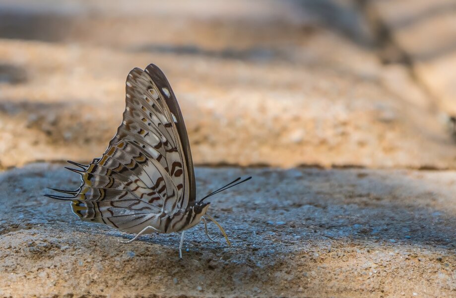 P1261215-Bearbeitet.jpg P1261215-Bearbeitet.jpg