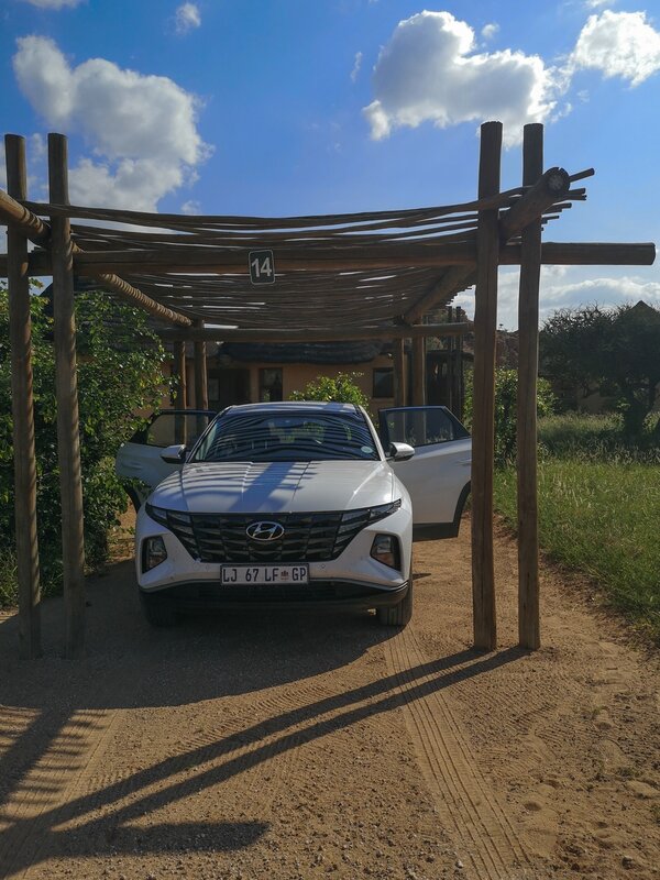 IMG_20240128_155213.jpg IMG_20240128_155213.jpg