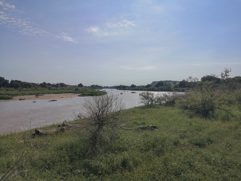 IMG_20240129_084615.jpg IMG_20240129_084615.jpg