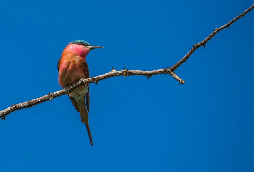 P1291413-Bearbeitet.jpg P1291413-Bearbeitet.jpg