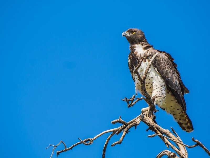 P1291440-Bearbeitet.jpg P1291440-Bearbeitet.jpg