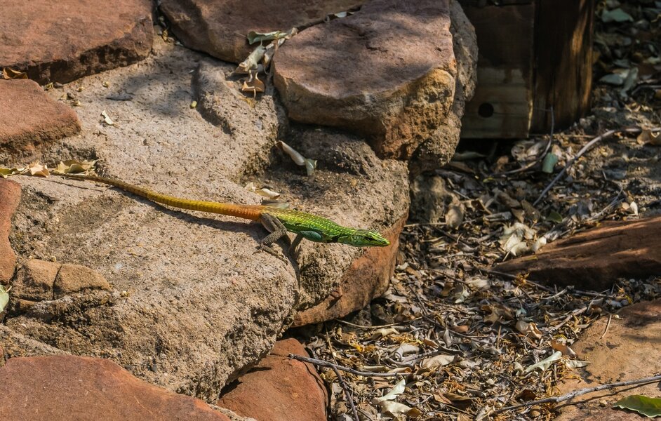 P1291458-Bearbeitet.jpg P1291458-Bearbeitet.jpg