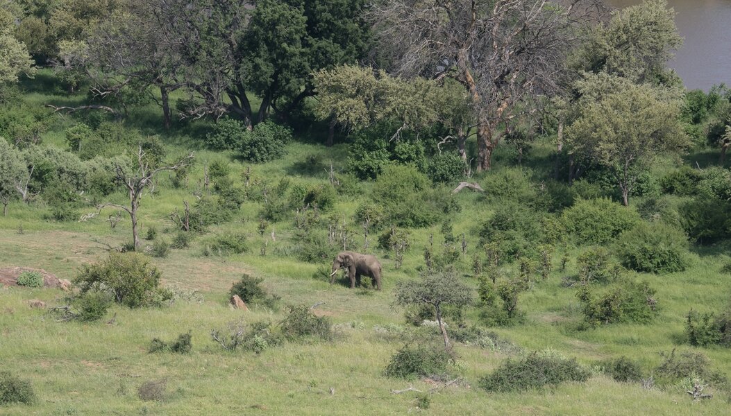 P1291476.jpg P1291476.jpg