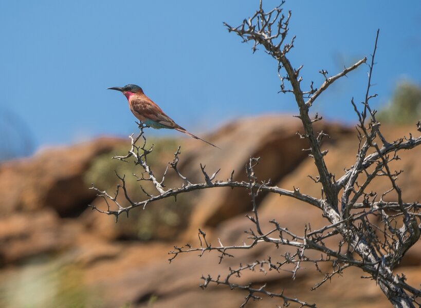 P1291593-Bearbeitet.jpg P1291593-Bearbeitet.jpg