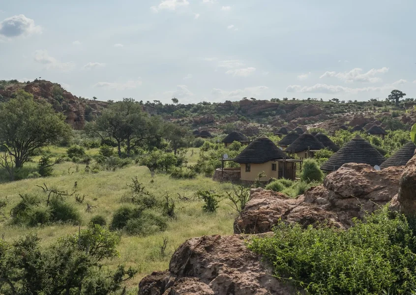 P1291719.webp