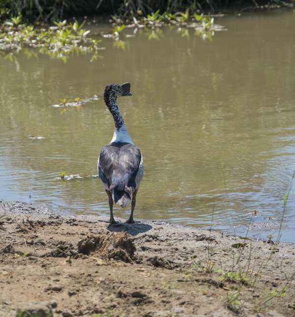 P1291634.jpg P1291634.jpg