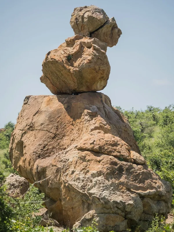 P1291642.webp