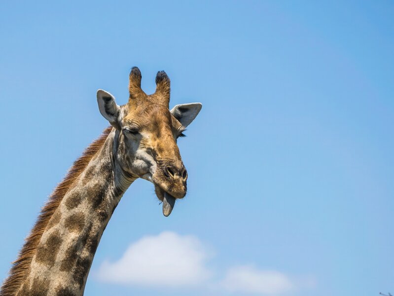 P1291648-Bearbeitet.jpg P1291648-Bearbeitet.jpg