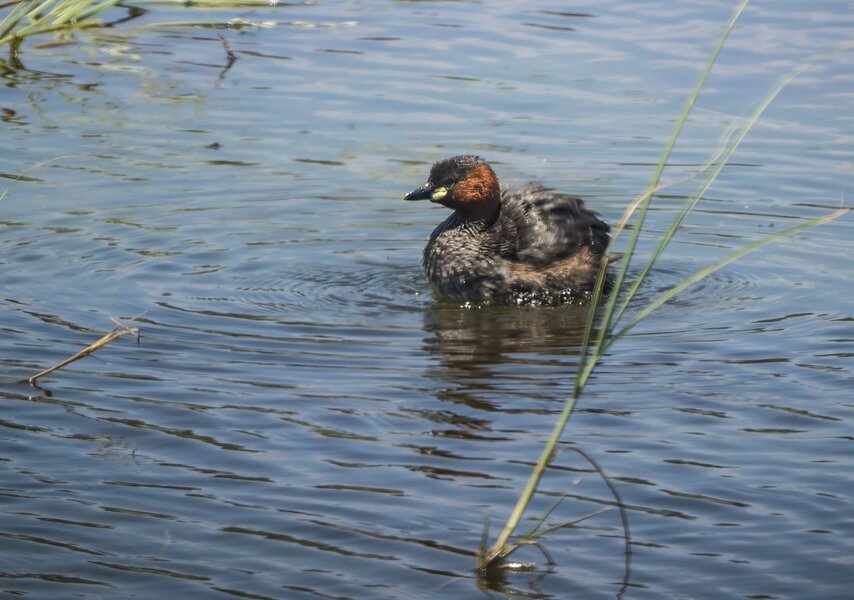 P1291681-Bearbeitet.jpg P1291681-Bearbeitet.jpg