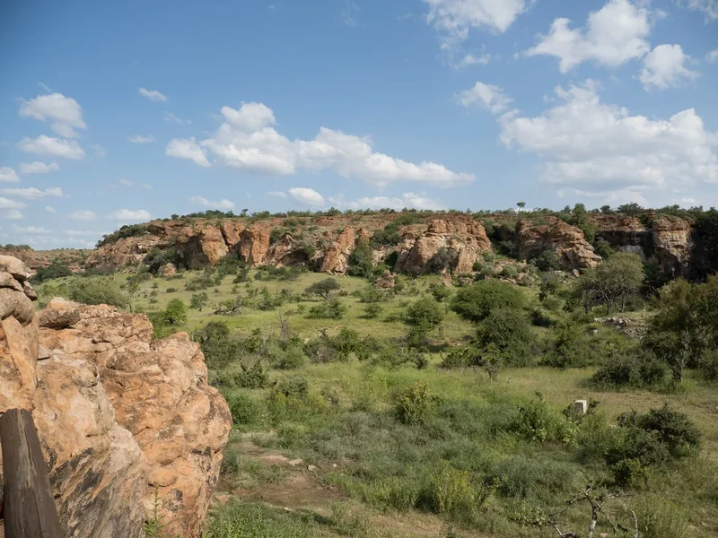 P1291718.webp