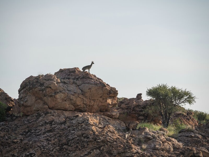 P1291955.jpg P1291955.jpg