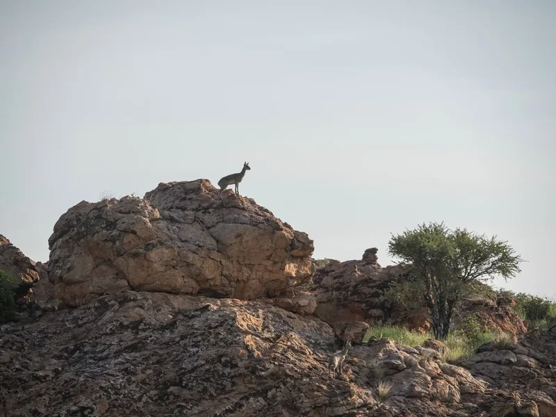 P1291955.webp
