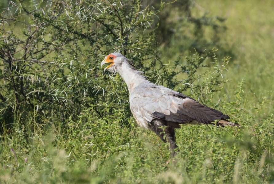 P1291731-Bearbeitet.jpg P1291731-Bearbeitet.jpg