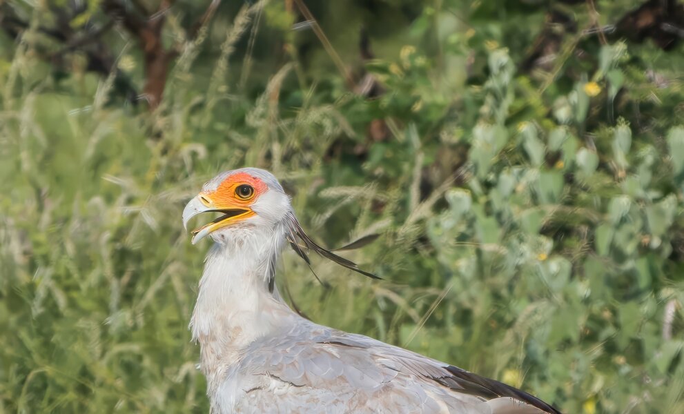 P1291735-Bearbeitet.jpg P1291735-Bearbeitet.jpg