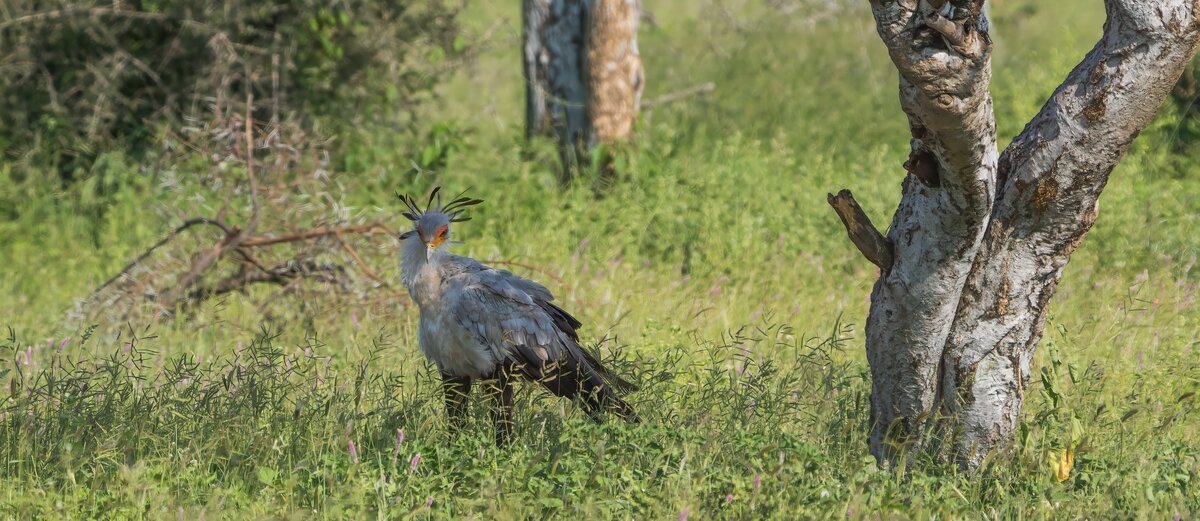 P1291859-Bearbeitet.jpg P1291859-Bearbeitet.jpg
