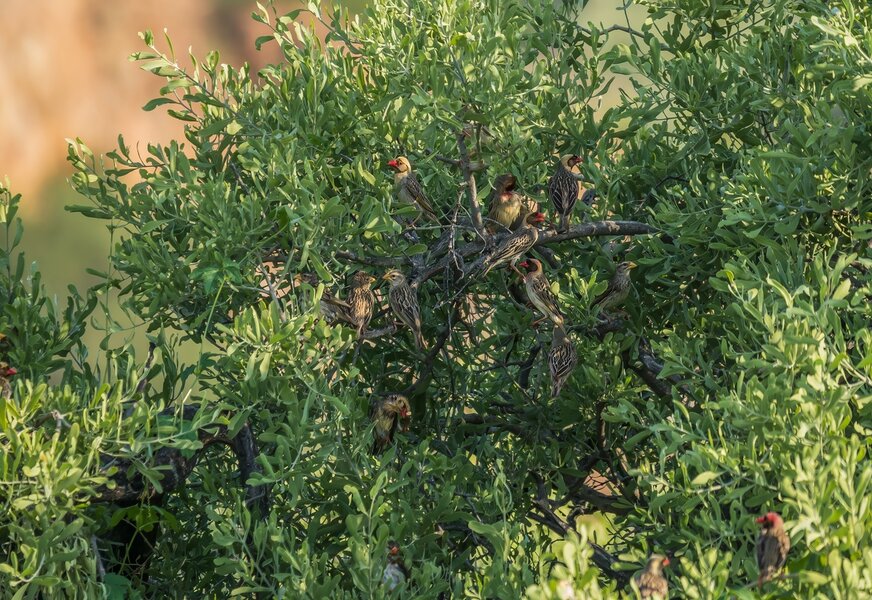 P1291907-Bearbeitet.jpg P1291907-Bearbeitet.jpg