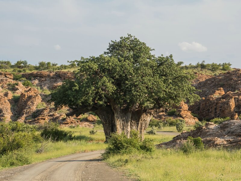 P1291963.jpg P1291963.jpg