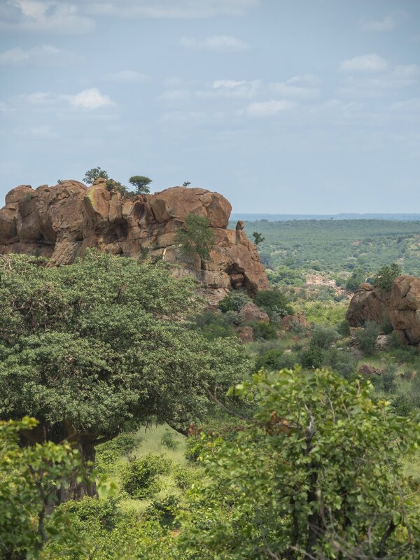 P1302250.jpg P1302250.jpg