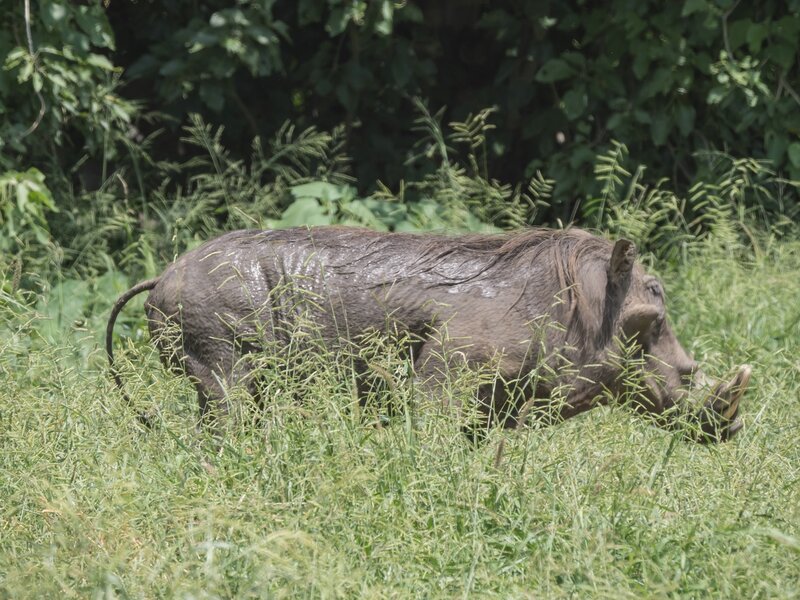 P1302253.jpg P1302253.jpg