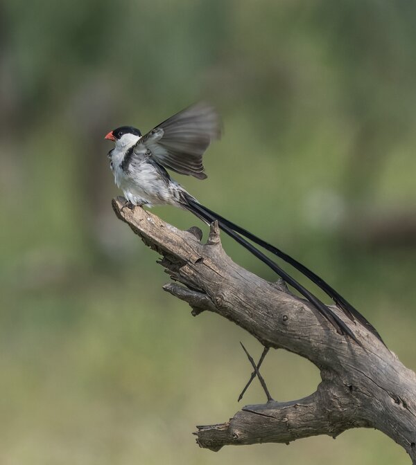 P1302330-Bearbeitet.jpg P1302330-Bearbeitet.jpg