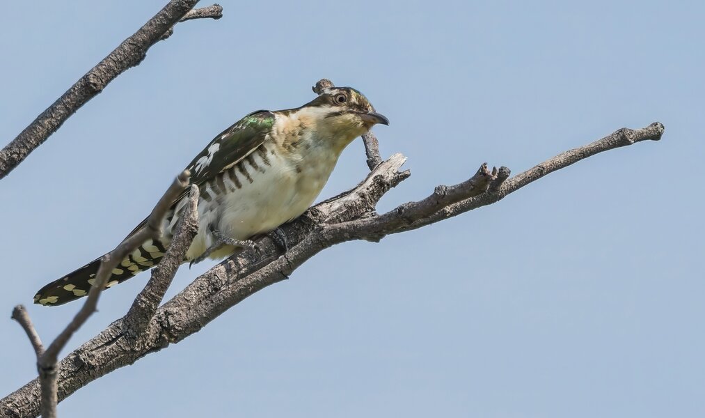 P1302156-Bearbeitet.jpg P1302156-Bearbeitet.jpg