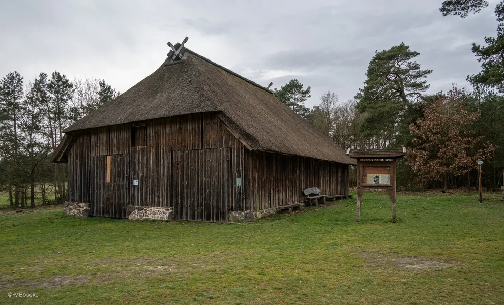NZ8_1253.webp
