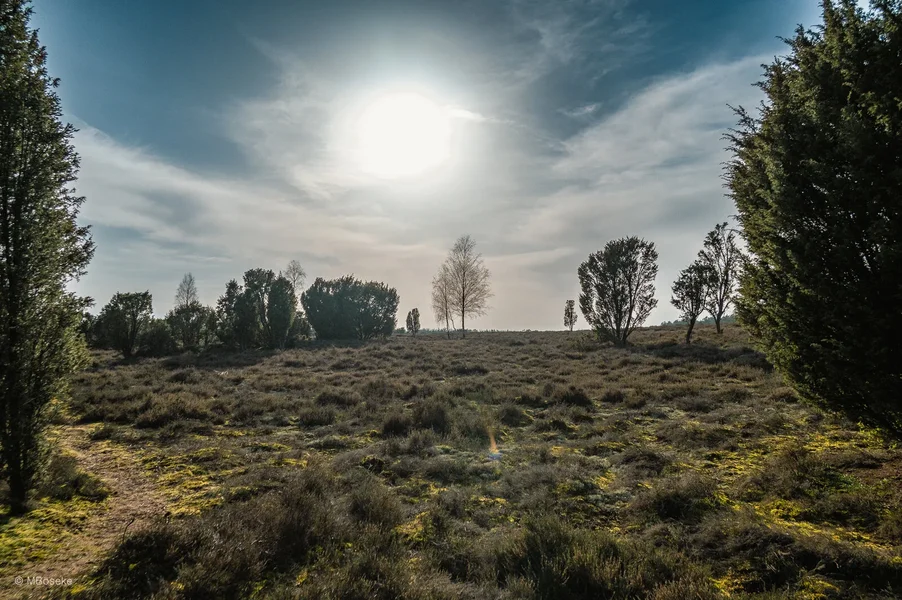 _DSC3314.webp