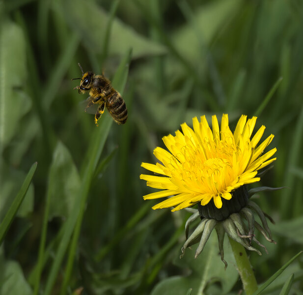 Auf und davon.jpg Auf und davon.jpg